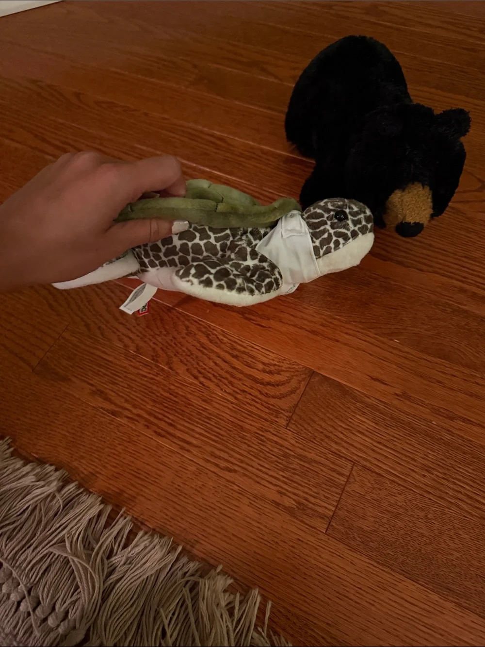 Plush Turtle and Bear Small-Pet Toy Set - Green & Black